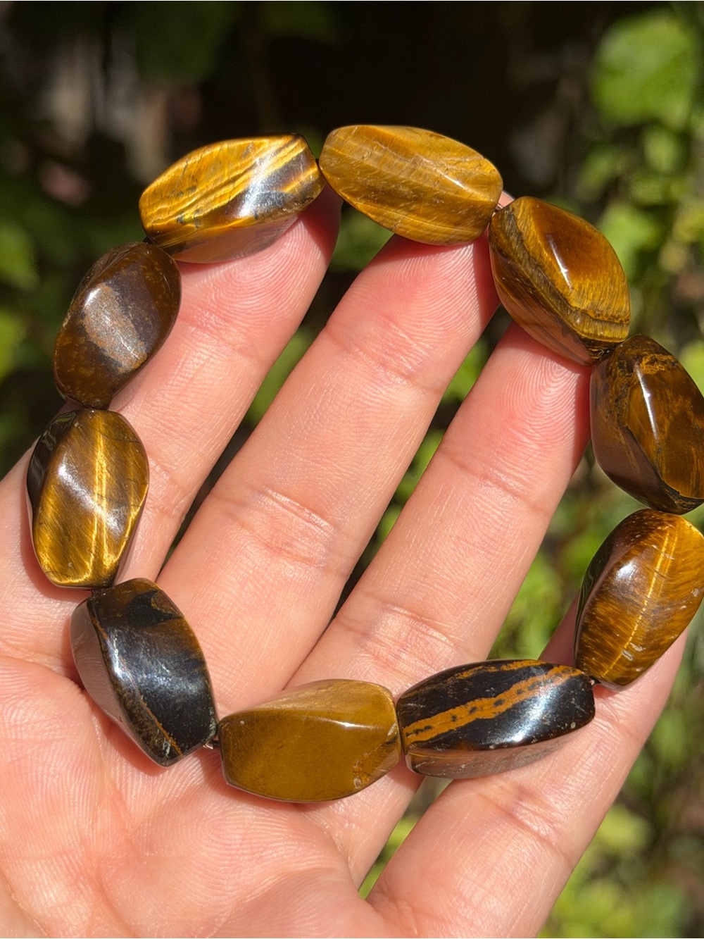Tiger eye Palo - Picture 2 of 8
